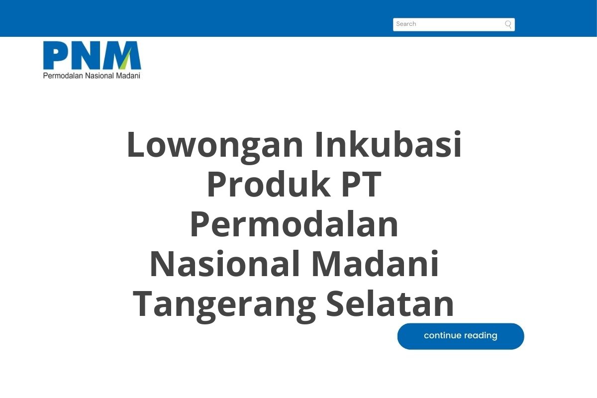 Lowongan Inkubasi Produk PT Permodalan Nasional Madani Tangerang Selatan